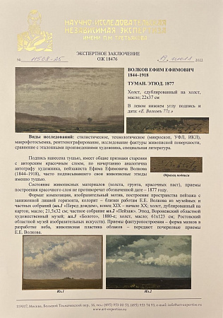 Волков Ефим Ефимович (1844-1918). Туман. Этюд. 1877 Г. Холст, сдублированный на холст. 22 х 37 см. 