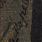 Пушкарёв Прокофий Егорович (18...- не ранее 1856 г.). Портрет статского советника. 1852 г. Холст, масло. 35,6 х 26,6 см