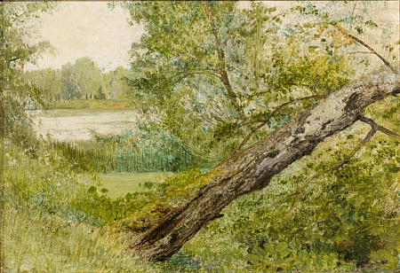Левитан Исаак Ильич (1860-1900). Летний пейзаж с наклоненным деревом. 1880-е гг. Холст (кромки подведены), масло. 16 х 23 см.